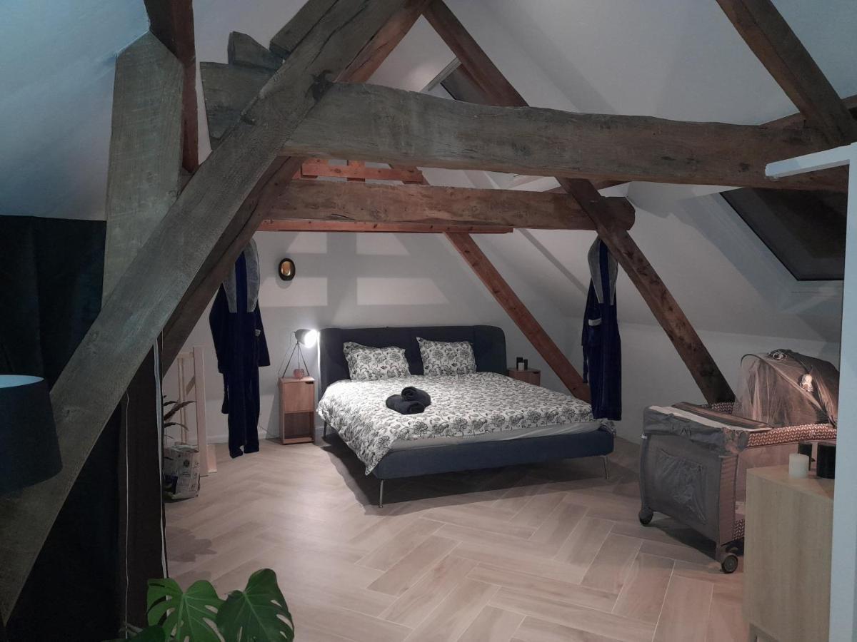 Suite City Center In Quiet Street & Airco Antwerp Luaran gambar
